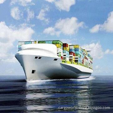 Logistics/Shipping/Forwarder/Freight Agent, Storage, Custom Clearance